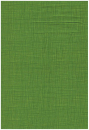 Linea green